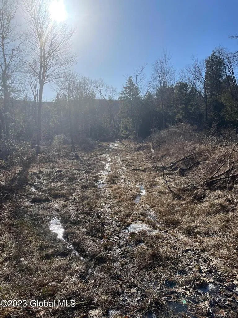 L26 & L27 Ecker Hollow Road, Cobleskill, NY, ,Land,For Rent,Ecker Hollow,0,997873 L26 & L27 Ecker Hollow Road, Cobleskill, NY, ,Land,For Rent,Ecker Hollow,0,997873