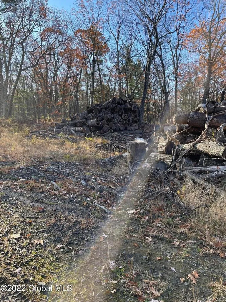 L26 & L27 Ecker Hollow Road, Cobleskill, NY, ,Land,For Rent,Ecker Hollow,0,997873 L26 & L27 Ecker Hollow Road, Cobleskill, NY, ,Land,For Rent,Ecker Hollow,0,997873
