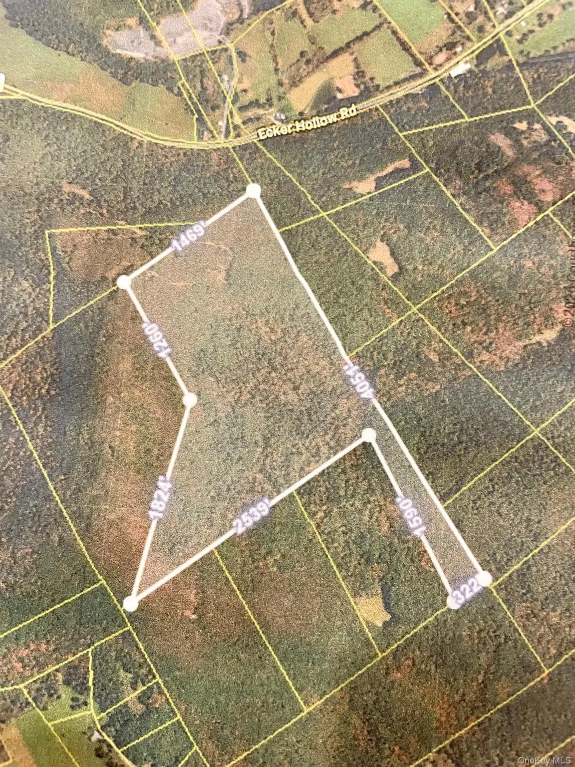 L26 & L27 Ecker Hollow Road, Cobleskill, NY, ,Land,For Rent,Ecker Hollow,0,997873 L26 & L27 Ecker Hollow Road, Cobleskill, NY, ,Land,For Rent,Ecker Hollow,0,997873