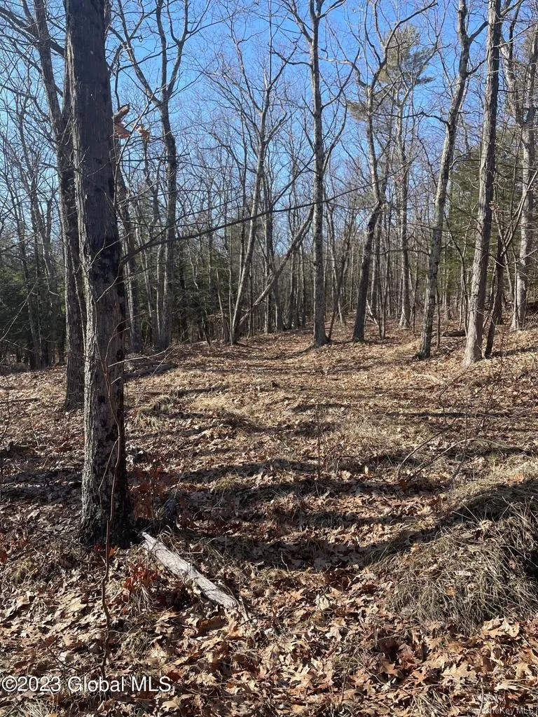 L26 & L27 Ecker Hollow Road, Cobleskill, NY, ,Land,For Rent,Ecker Hollow,0,997873 L26 & L27 Ecker Hollow Road, Cobleskill, NY, ,Land,For Rent,Ecker Hollow,0,997873