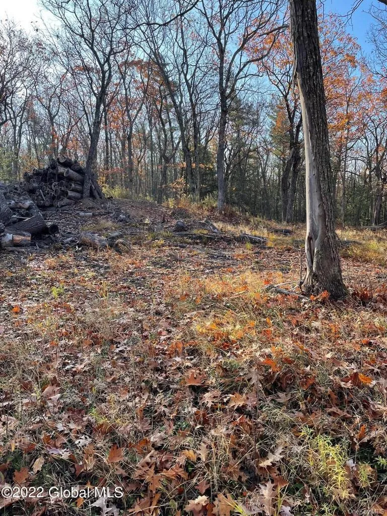 L26 & L27 Ecker Hollow Road, Cobleskill, NY, ,Land,For Rent,Ecker Hollow,0,997873 L26 & L27 Ecker Hollow Road, Cobleskill, NY, ,Land,For Rent,Ecker Hollow,0,997873