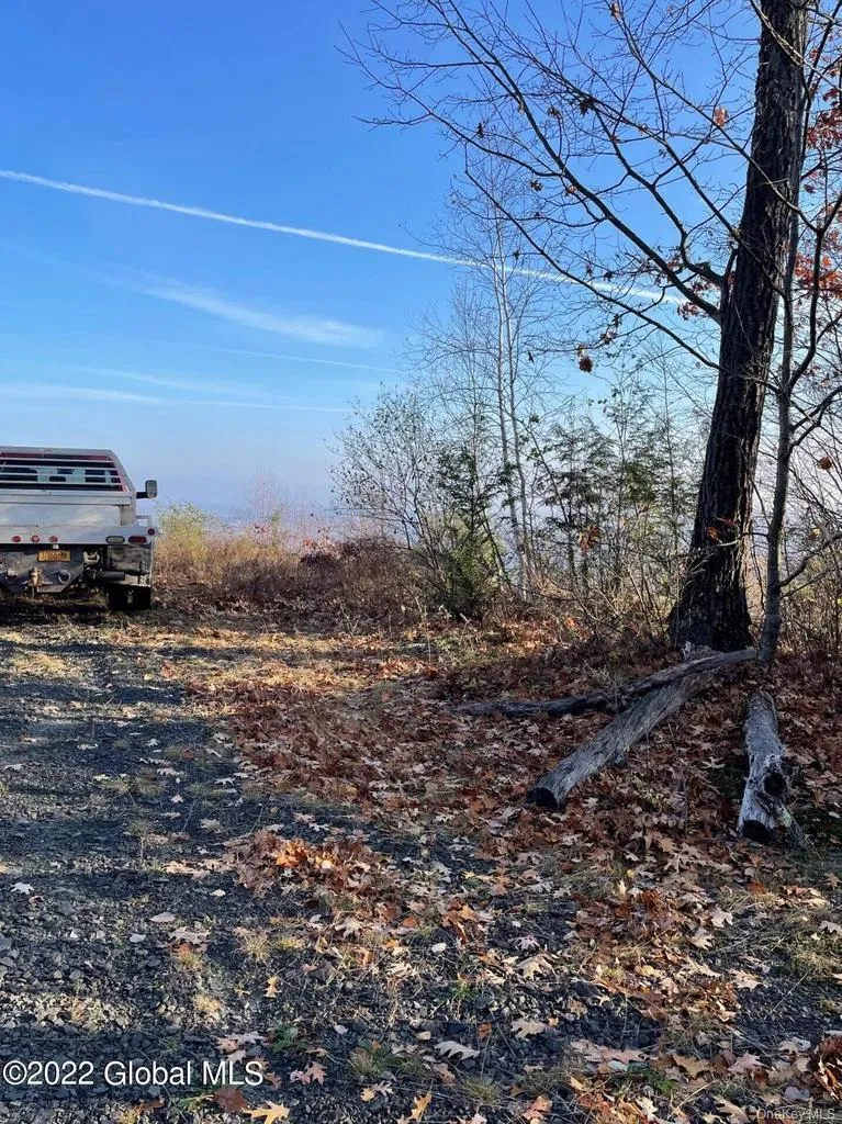 L26 & L27 Ecker Hollow Road, Cobleskill, NY, ,Land,For Rent,Ecker Hollow,0,997873 L26 & L27 Ecker Hollow Road, Cobleskill, NY, ,Land,For Rent,Ecker Hollow,0,997873