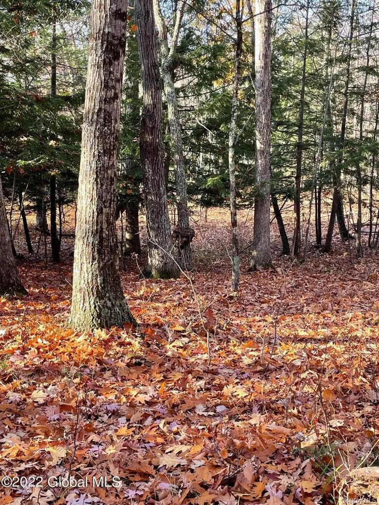 L26 & L27 Ecker Hollow Road, Cobleskill, NY, ,Land,For Rent,Ecker Hollow,0,997873 L26 & L27 Ecker Hollow Road, Cobleskill, NY, ,Land,For Rent,Ecker Hollow,0,997873