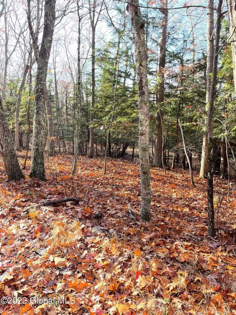 L26 & L27 Ecker Hollow Road, Cobleskill, NY, ,Land,For Rent,Ecker Hollow,0,997873 L26 & L27 Ecker Hollow Road, Cobleskill, NY, ,Land,For Rent,Ecker Hollow,0,997873