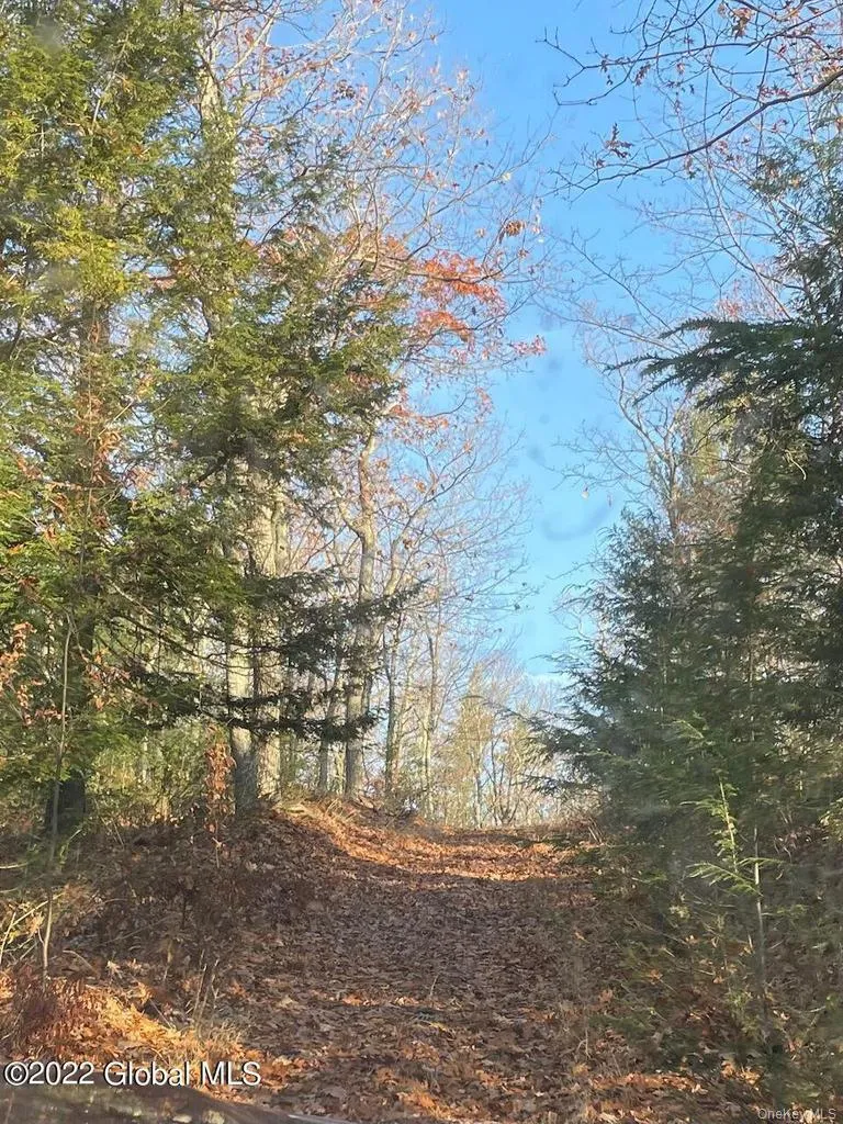 L26 & L27 Ecker Hollow Road, Cobleskill, NY, ,Land,For Rent,Ecker Hollow,0,997873 L26 & L27 Ecker Hollow Road, Cobleskill, NY, ,Land,For Rent,Ecker Hollow,0,997873