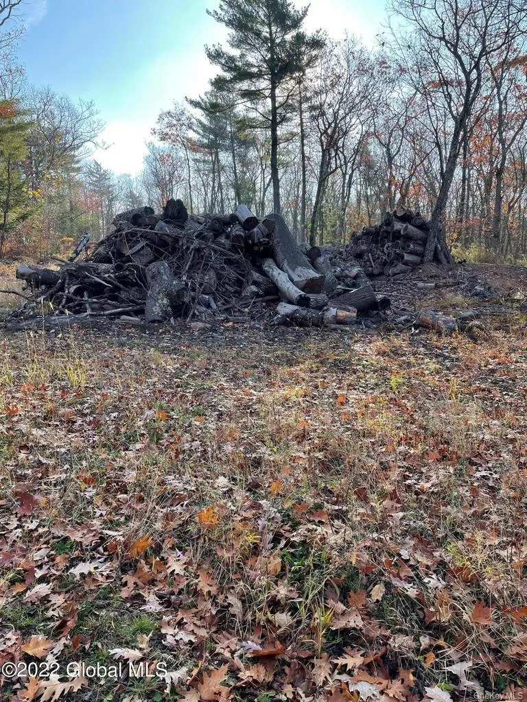 L26 & L27 Ecker Hollow Road, Cobleskill, NY, ,Land,For Rent,Ecker Hollow,0,997873 L26 & L27 Ecker Hollow Road, Cobleskill, NY, ,Land,For Rent,Ecker Hollow,0,997873