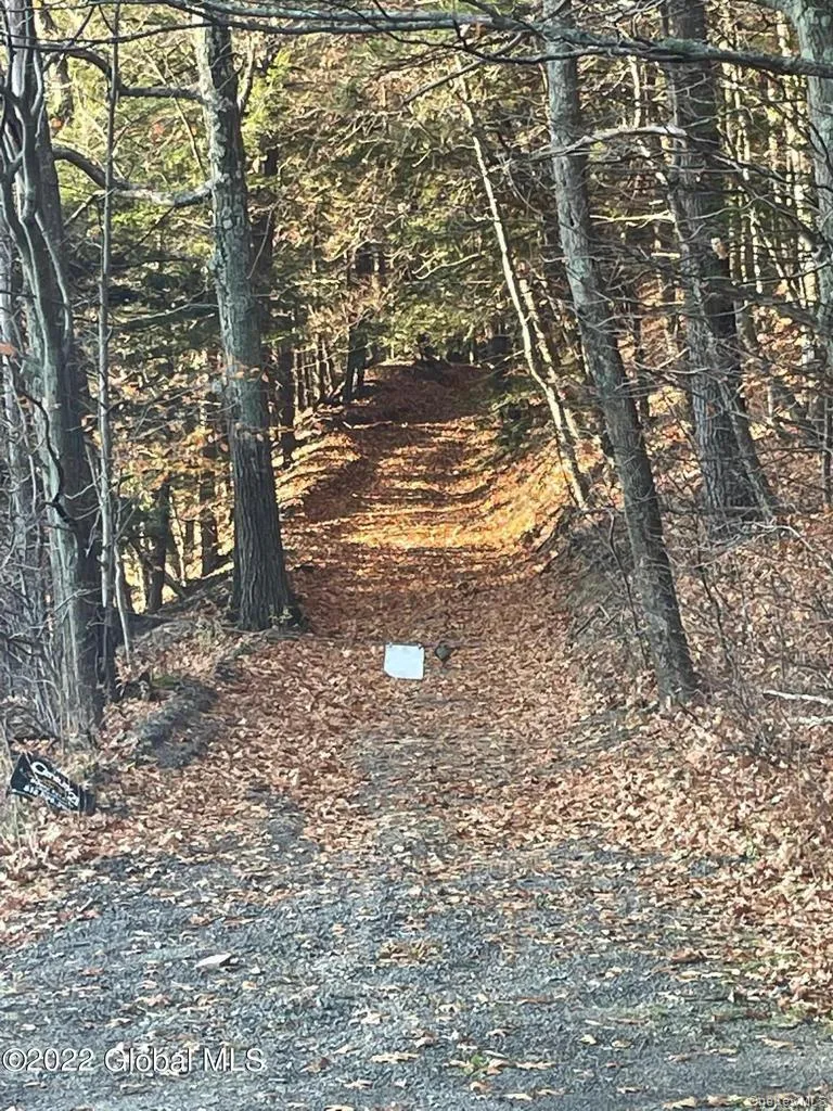 L26 & L27 Ecker Hollow Road, Cobleskill, NY, ,Land,For Rent,Ecker Hollow,0,997873 L26 & L27 Ecker Hollow Road, Cobleskill, NY, ,Land,For Rent,Ecker Hollow,0,997873