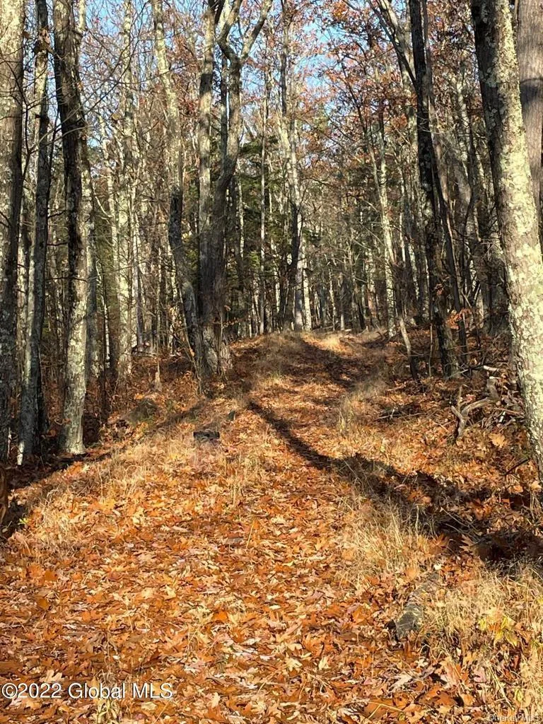 L26 & L27 Ecker Hollow Road, Cobleskill, NY, ,Land,For Rent,Ecker Hollow,0,997873 L26 & L27 Ecker Hollow Road, Cobleskill, NY, ,Land,For Rent,Ecker Hollow,0,997873