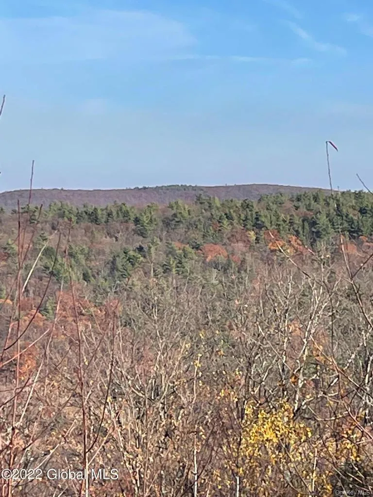 L26 & L27 Ecker Hollow Road, Cobleskill, NY, ,Land,For Rent,Ecker Hollow,0,997873 L26 & L27 Ecker Hollow Road, Cobleskill, NY, ,Land,For Rent,Ecker Hollow,0,997873