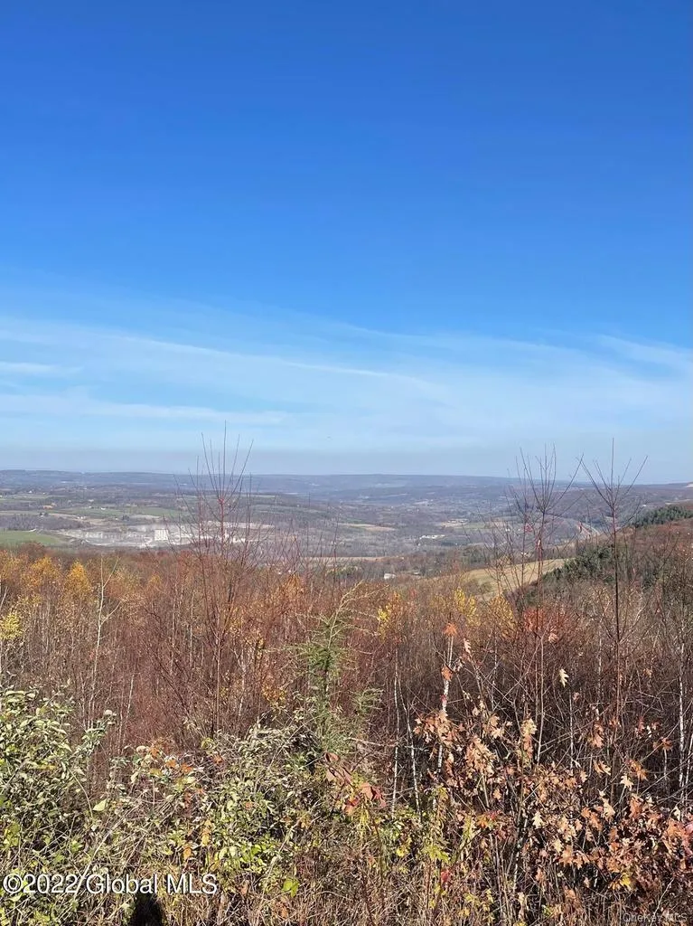 L26 & L27 Ecker Hollow Road, Cobleskill, NY, ,Land,For Rent,Ecker Hollow,0,997873 L26 & L27 Ecker Hollow Road, Cobleskill, NY, ,Land,For Rent,Ecker Hollow,0,997873
