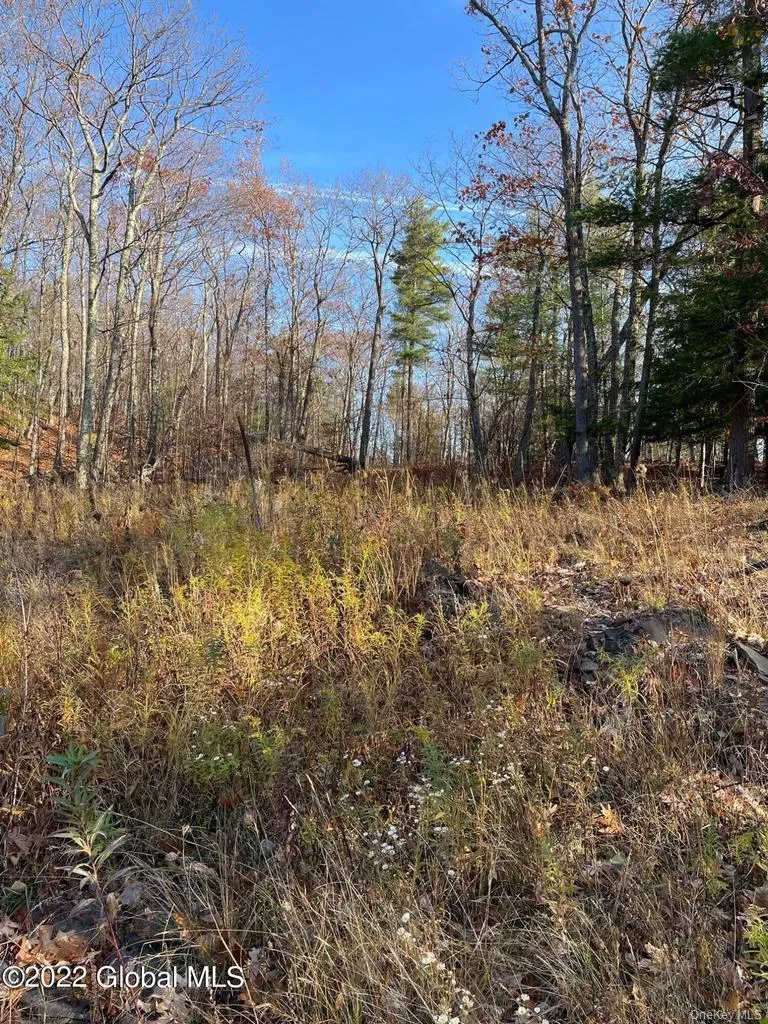 L26 & L27 Ecker Hollow Road, Cobleskill, NY, ,Land,For Rent,Ecker Hollow,0,997873 L26 & L27 Ecker Hollow Road, Cobleskill, NY, ,Land,For Rent,Ecker Hollow,0,997873
