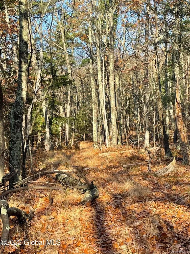 L26 & L27 Ecker Hollow Road, Cobleskill, NY, ,Land,For Rent,Ecker Hollow,0,997873 L26 & L27 Ecker Hollow Road, Cobleskill, NY, ,Land,For Rent,Ecker Hollow,0,997873