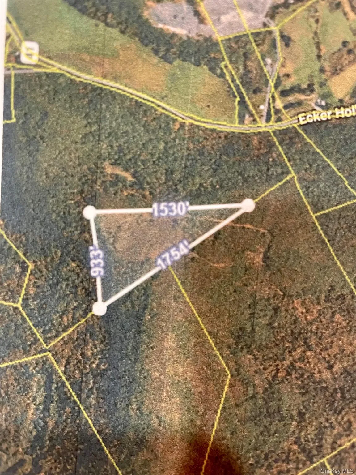 L26 & L27 Ecker Hollow Road, Cobleskill, NY, ,Land,For Rent,Ecker Hollow,0,997873 L26 & L27 Ecker Hollow Road, Cobleskill, NY, ,Land,For Rent,Ecker Hollow,0,997873