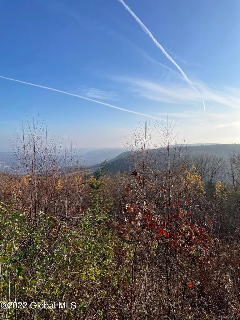 L26 & L27 Ecker Hollow Road, Cobleskill, NY, ,Land,For Rent,Ecker Hollow,0,997873 L26 & L27 Ecker Hollow Road, Cobleskill, NY, ,Land,For Rent,Ecker Hollow,0,997873