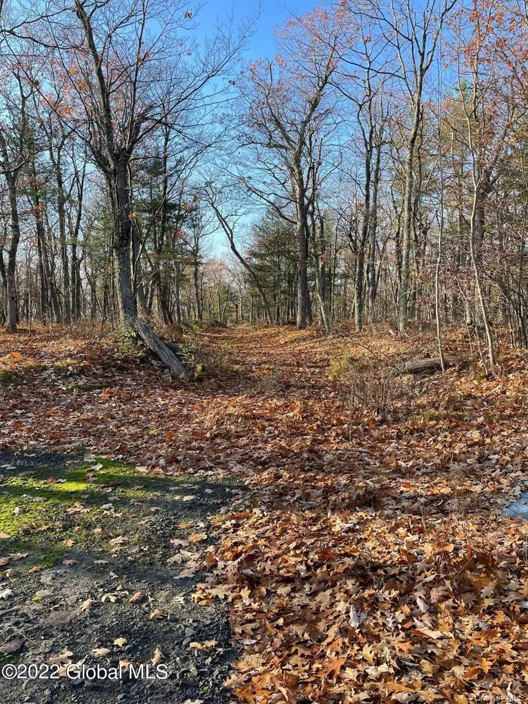 L26 & L27 Ecker Hollow Road, Cobleskill, NY, ,Land,For Rent,Ecker Hollow,0,997873 L26 & L27 Ecker Hollow Road, Cobleskill, NY, ,Land,For Rent,Ecker Hollow,0,997873
