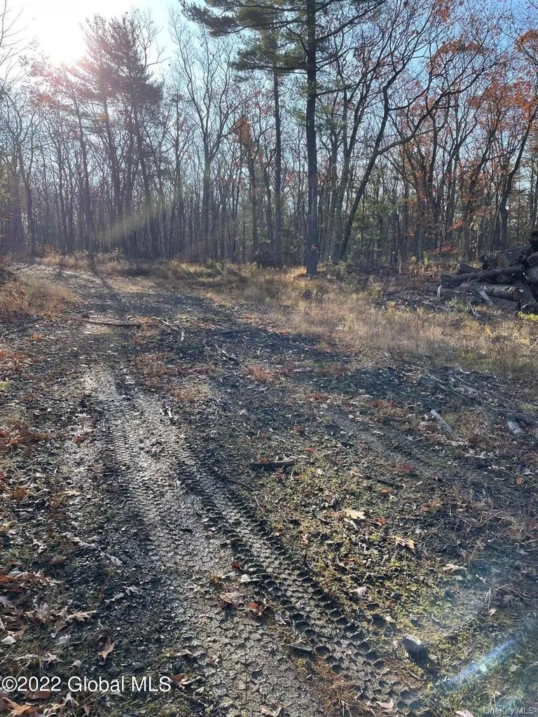 L26 & L27 Ecker Hollow Road, Cobleskill, NY, ,Land,For Rent,Ecker Hollow,0,997873 L26 & L27 Ecker Hollow Road, Cobleskill, NY, ,Land,For Rent,Ecker Hollow,0,997873