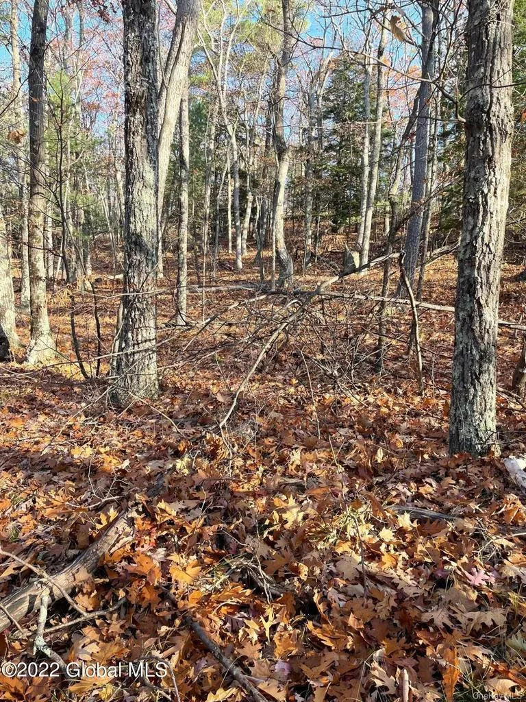 L26 & L27 Ecker Hollow Road, Cobleskill, NY, ,Land,For Rent,Ecker Hollow,0,997873 L26 & L27 Ecker Hollow Road, Cobleskill, NY, ,Land,For Rent,Ecker Hollow,0,997873