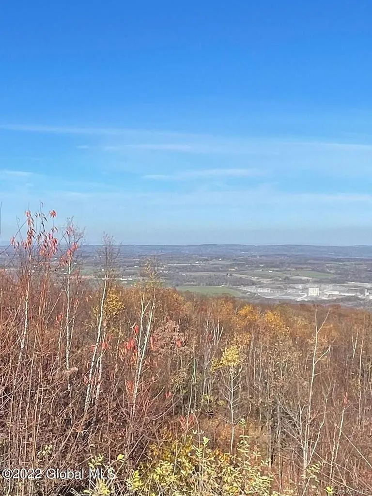 L26 & L27 Ecker Hollow Road, Cobleskill, NY, ,Land,For Rent,Ecker Hollow,0,997873 L26 & L27 Ecker Hollow Road, Cobleskill, NY, ,Land,For Rent,Ecker Hollow,0,997873