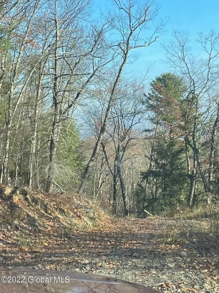 L26 & L27 Ecker Hollow Road, Cobleskill, NY, ,Land,For Rent,Ecker Hollow,0,997873 L26 & L27 Ecker Hollow Road, Cobleskill, NY, ,Land,For Rent,Ecker Hollow,0,997873
