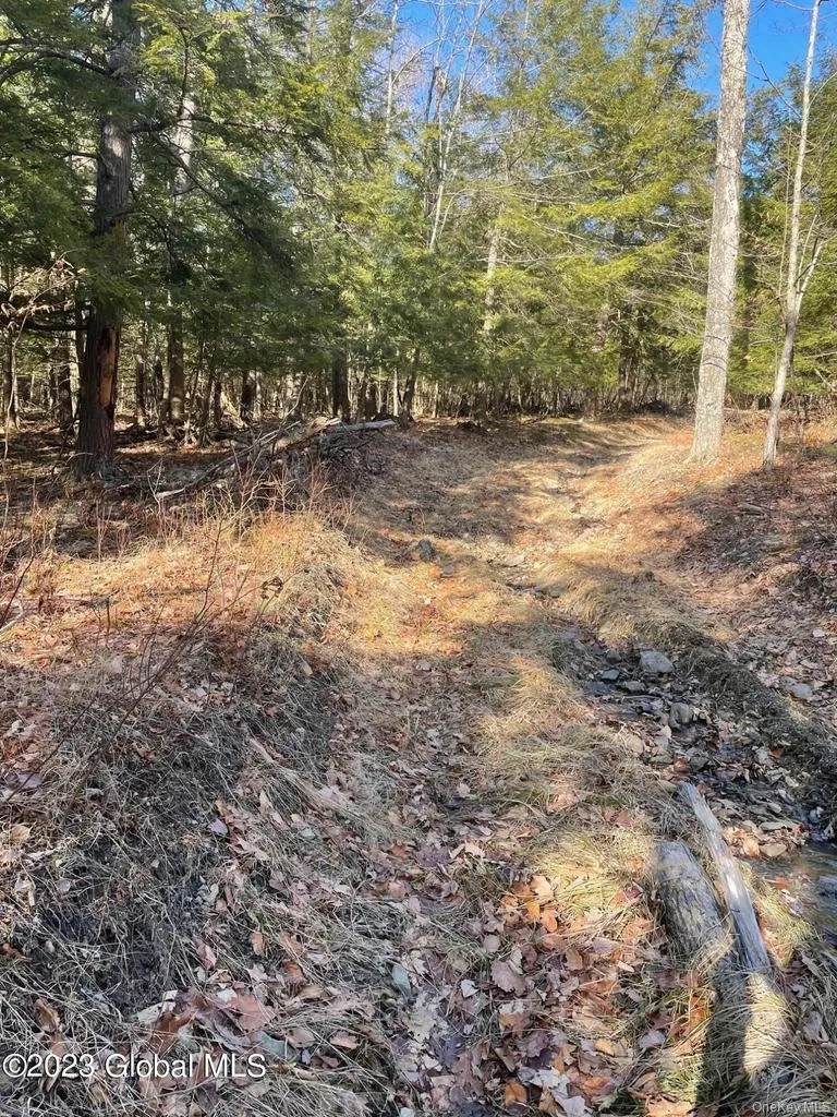 L26 & L27 Ecker Hollow Road, Cobleskill, NY, ,Land,For Rent,Ecker Hollow,0,997873 L26 & L27 Ecker Hollow Road, Cobleskill, NY, ,Land,For Rent,Ecker Hollow,0,997873