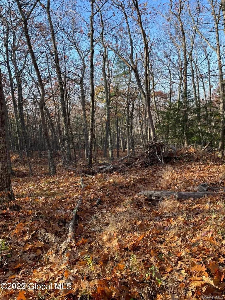 L26 & L27 Ecker Hollow Road, Cobleskill, NY, ,Land,For Rent,Ecker Hollow,0,997873 L26 & L27 Ecker Hollow Road, Cobleskill, NY, ,Land,For Rent,Ecker Hollow,0,997873