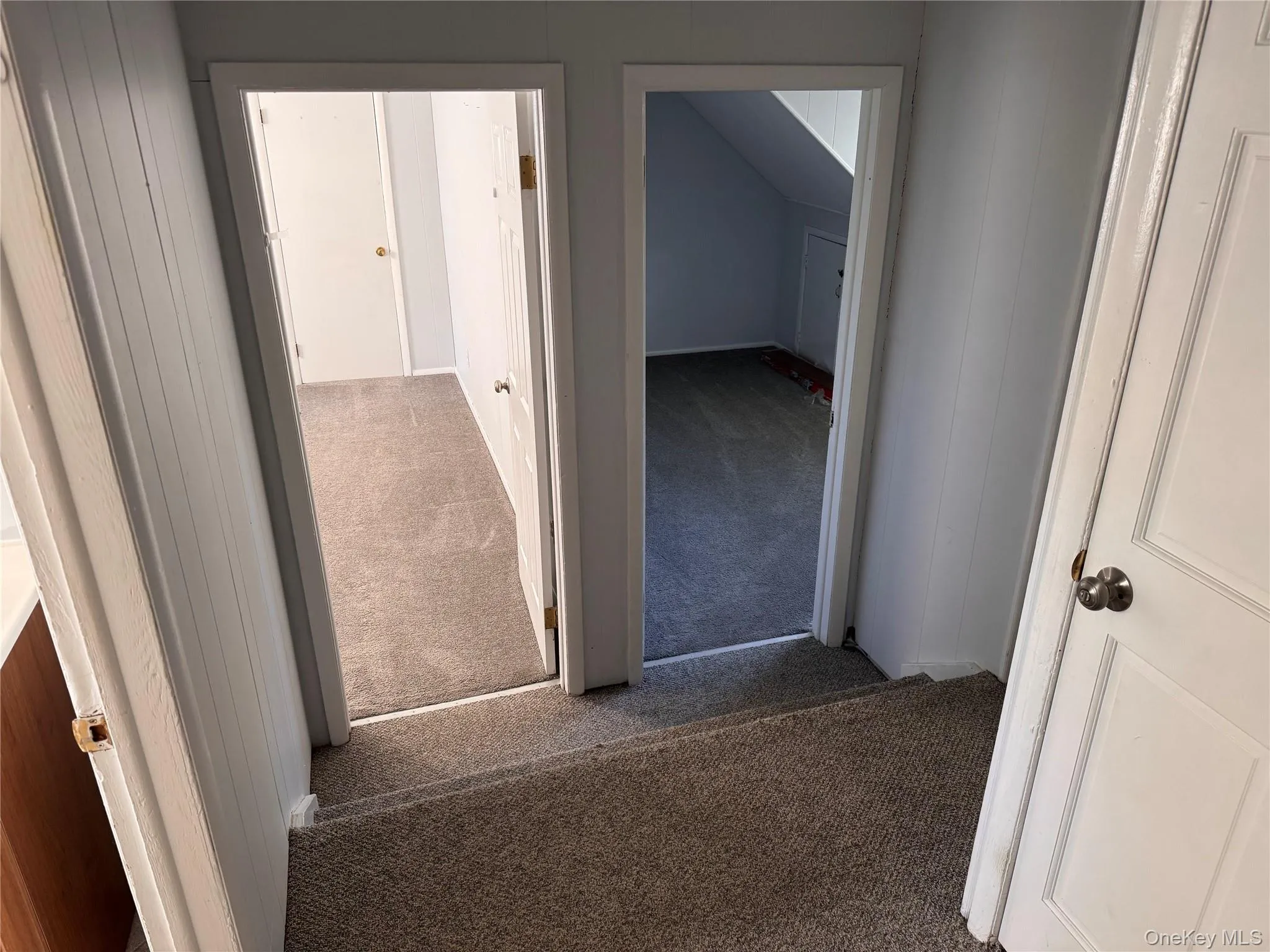 61 Hall Avenue, Clarkstown, NY, 5 Bedrooms Bedrooms, 11 Rooms Rooms,3 BathroomsBathrooms,Residential,For Rent,Hall,0,997896 61 Hall Avenue, Clarkstown, NY, 5 Bedrooms Bedrooms, 11 Rooms Rooms,3 BathroomsBathrooms,Residential,For Rent,Hall,0,997896