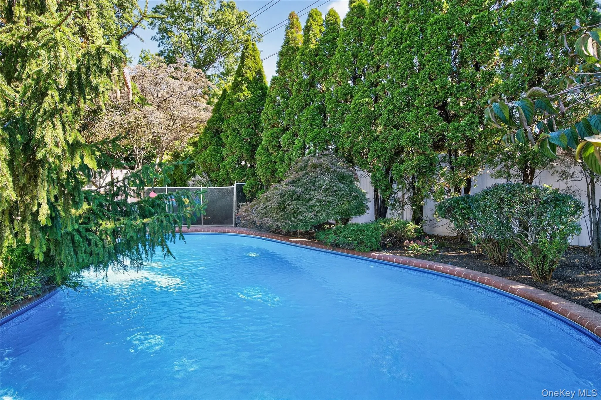 Backyard: In-ground heated saltwater swimming pool Backyard: In-ground heated saltwater swimming pool