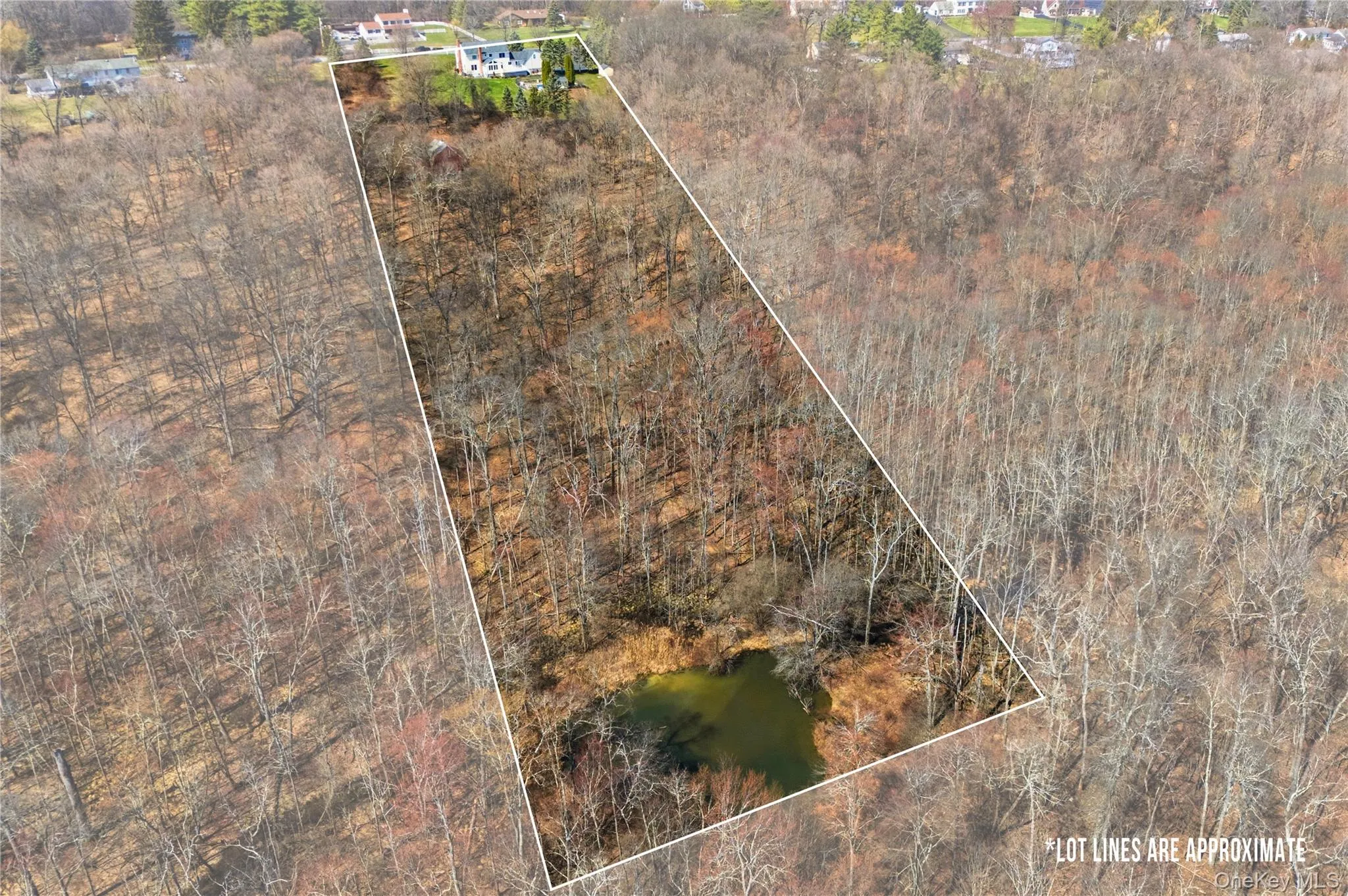 462 Ridge Road, Hamptonburgh, NY, 4 Bedrooms Bedrooms, 11 Rooms Rooms,2 BathroomsBathrooms,Residential,For Rent,Ridge,0,997989 462 Ridge Road, Hamptonburgh, NY, 4 Bedrooms Bedrooms, 11 Rooms Rooms,2 BathroomsBathrooms,Residential,For Rent,Ridge,0,997989