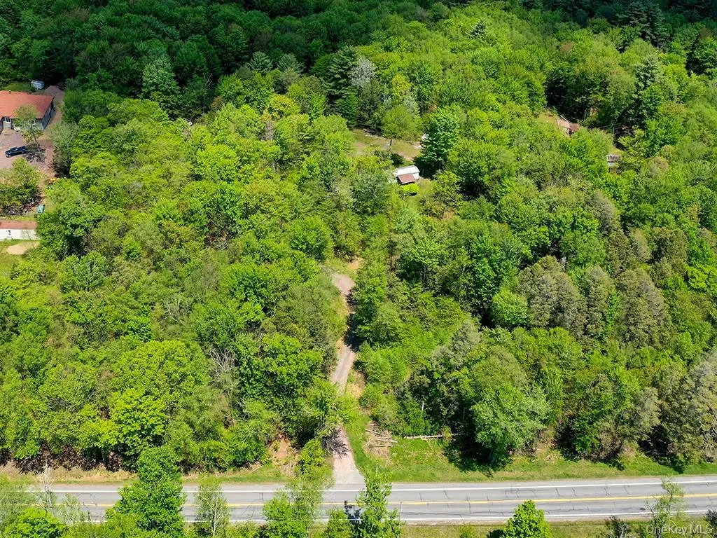 7175 State Route 42, Neversink, NY, ,Land,For Rent,State Route 42,0,998003 7175 State Route 42, Neversink, NY, ,Land,For Rent,State Route 42,0,998003