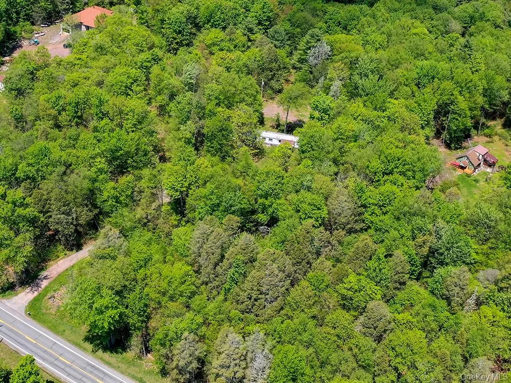 7175 State Route 42, Neversink, NY, ,Land,For Rent,State Route 42,0,998003 7175 State Route 42, Neversink, NY, ,Land,For Rent,State Route 42,0,998003