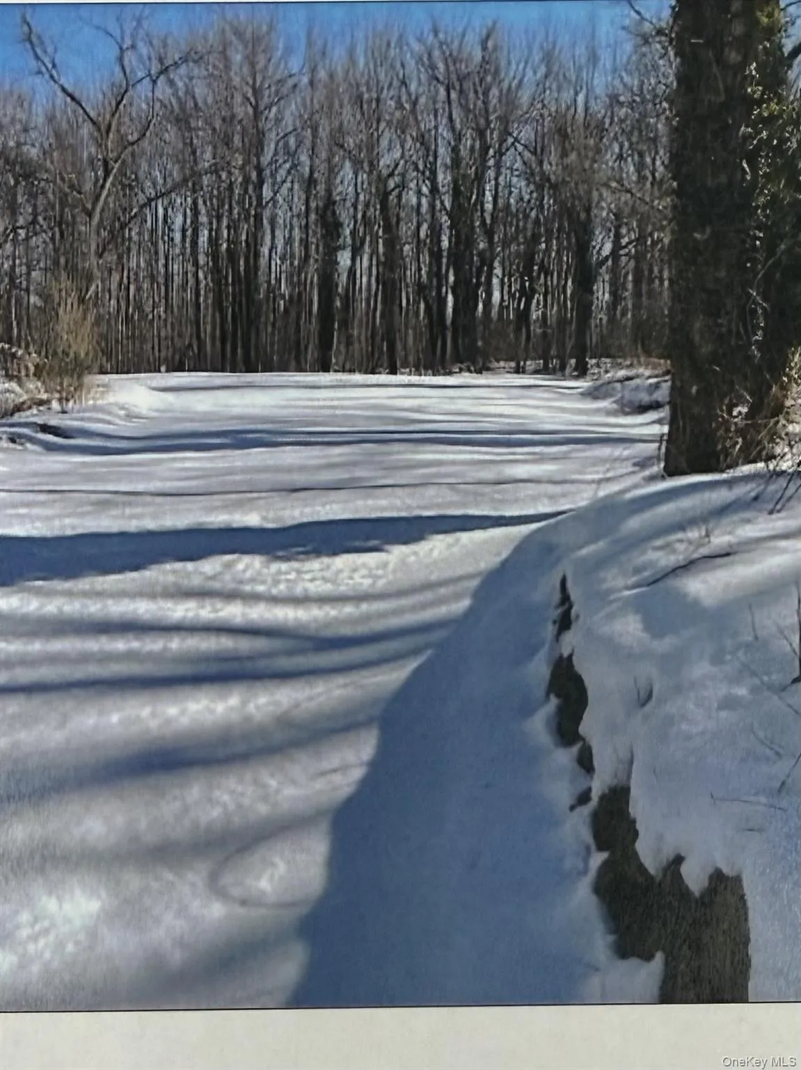 Lot #6 and #7 Plainview Road, Huntington, NY, ,Land,For Rent,Plainview,0,998010 Lot #6 and #7 Plainview Road, Huntington, NY, ,Land,For Rent,Plainview,0,998010