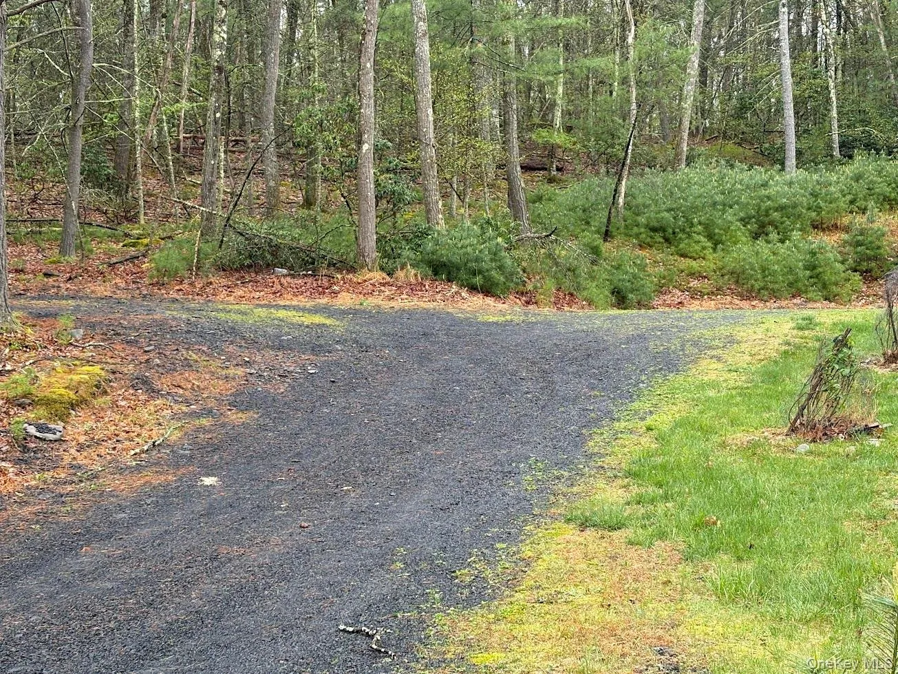 Driveway Driveway