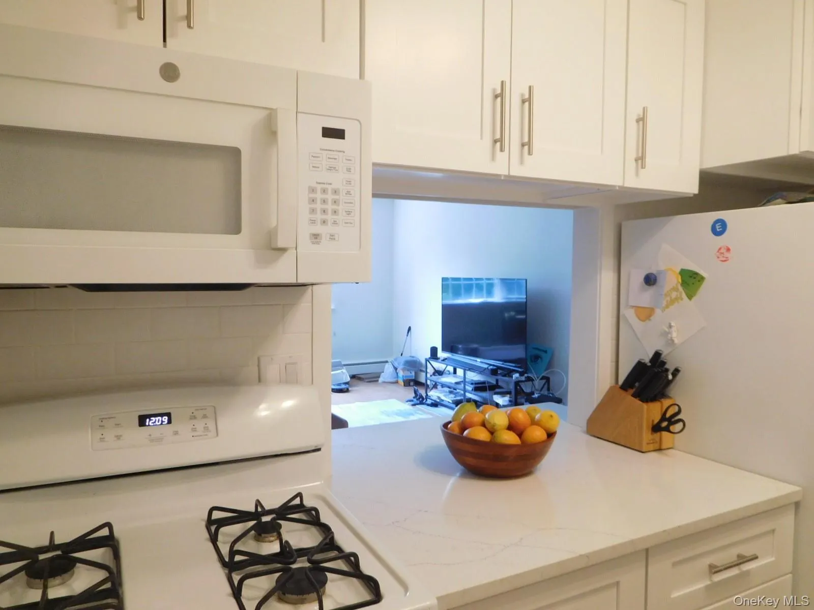 Other Side of New Galley Kitchen w/serve thru to Dining Area Other Side of New Galley Kitchen w/serve thru to Dining Area