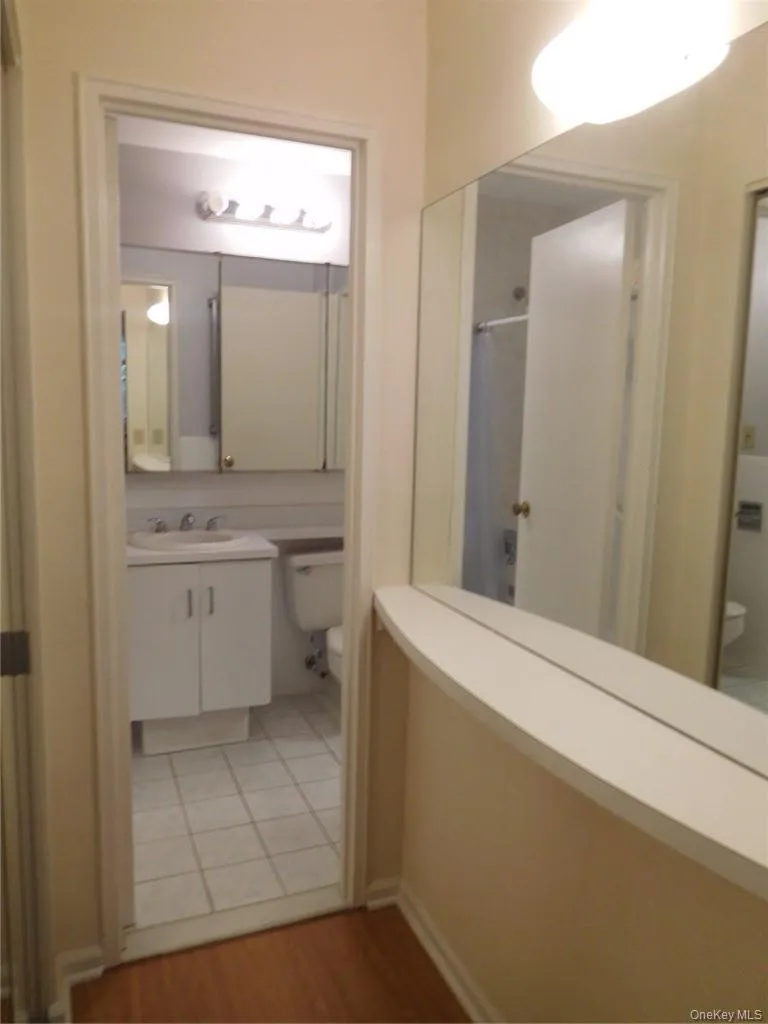 Entry to Bath from Bedroom Dressing Area Entry to Bath from Bedroom Dressing Area