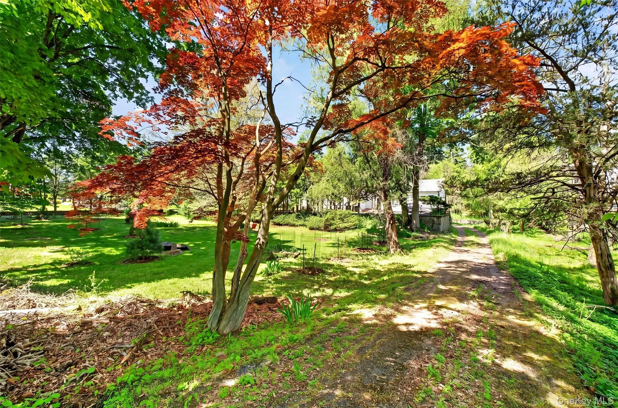 96 Hooker Avenue, Poughkeepsie, NY, 4 Bedrooms Bedrooms, 10 Rooms Rooms,4 BathroomsBathrooms,Residential Sale,For Rent,Hooker,0,998059 96 Hooker Avenue, Poughkeepsie, NY, 4 Bedrooms Bedrooms, 10 Rooms Rooms,4 BathroomsBathrooms,Residential Sale,For Rent,Hooker,0,998059