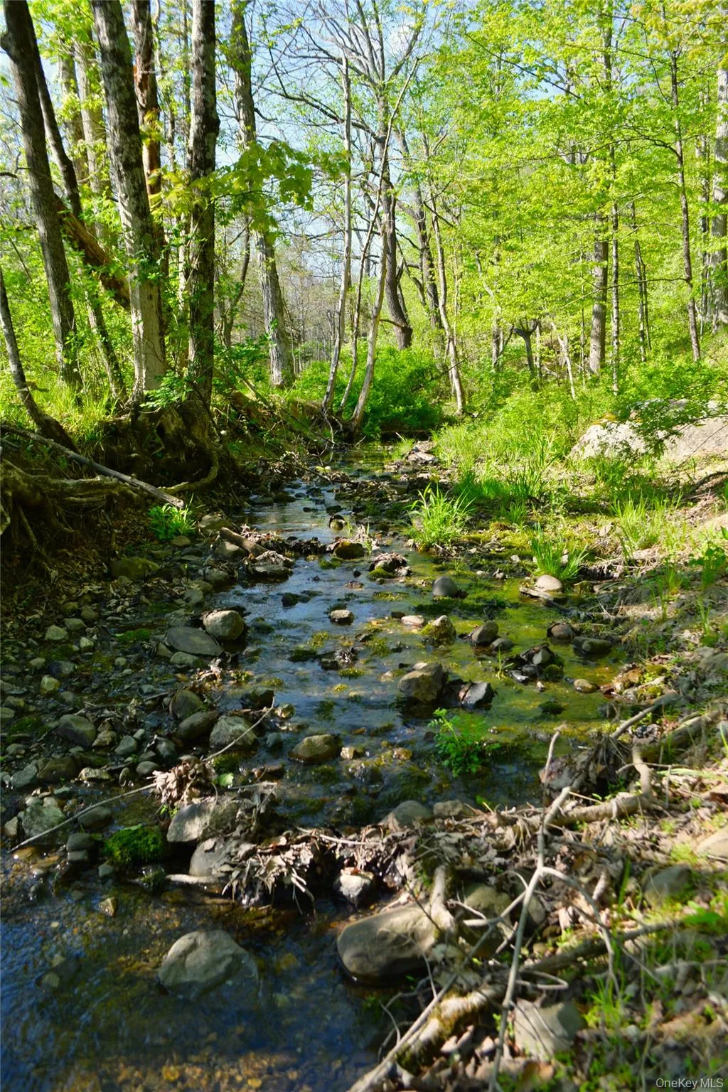 Stream Stream