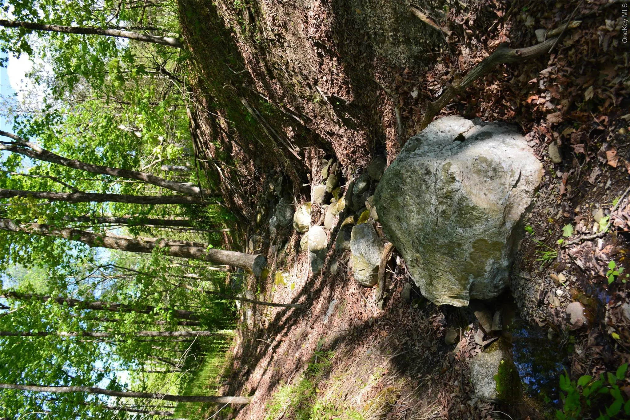Ravine Ravine