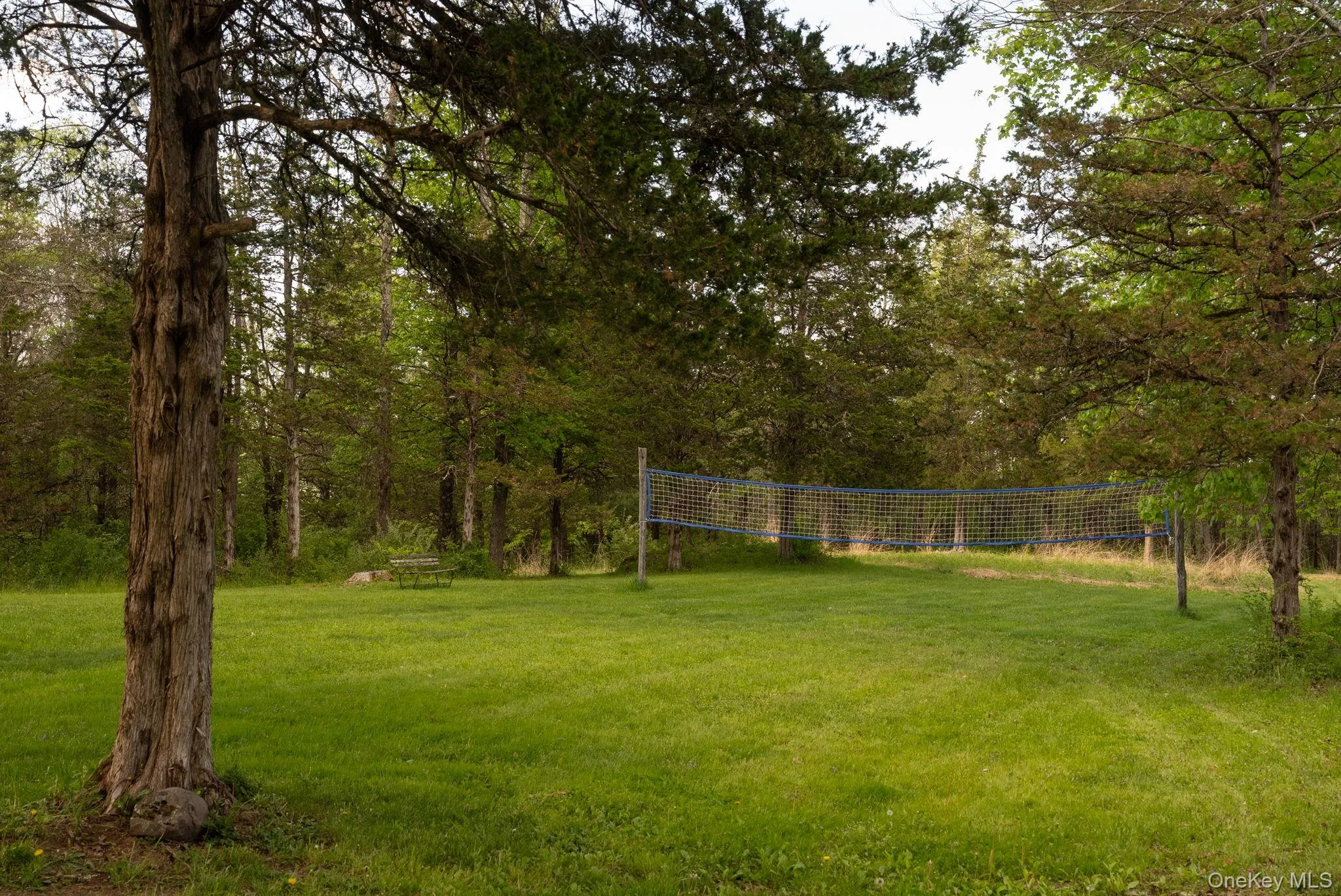 Volleyball Court Volleyball Court