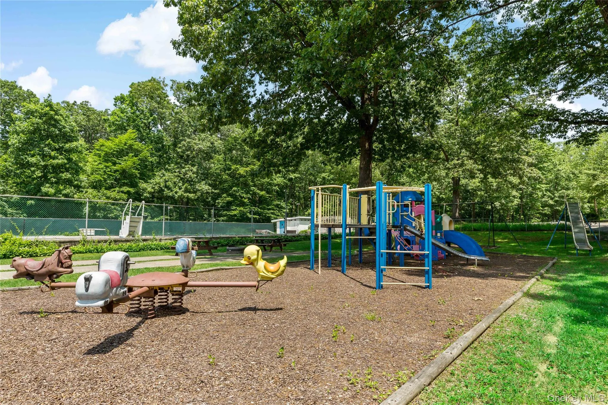 Fun time all year long with jungle gym and more... Fun time all year long with jungle gym and more...