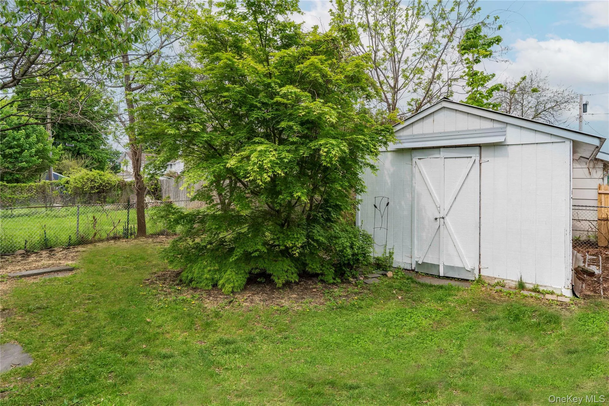 Shed Shed