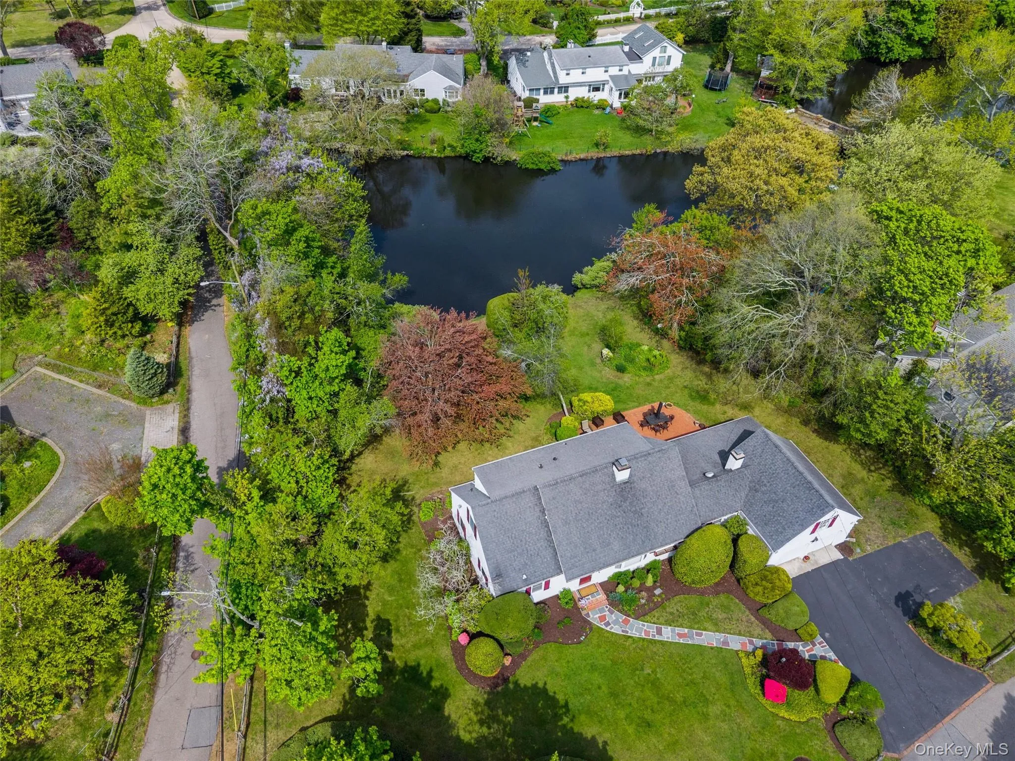 Pond in backyard Pond in backyard