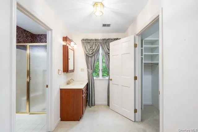 Separate vanity with adjacent extra large closet Separate vanity with adjacent extra large closet