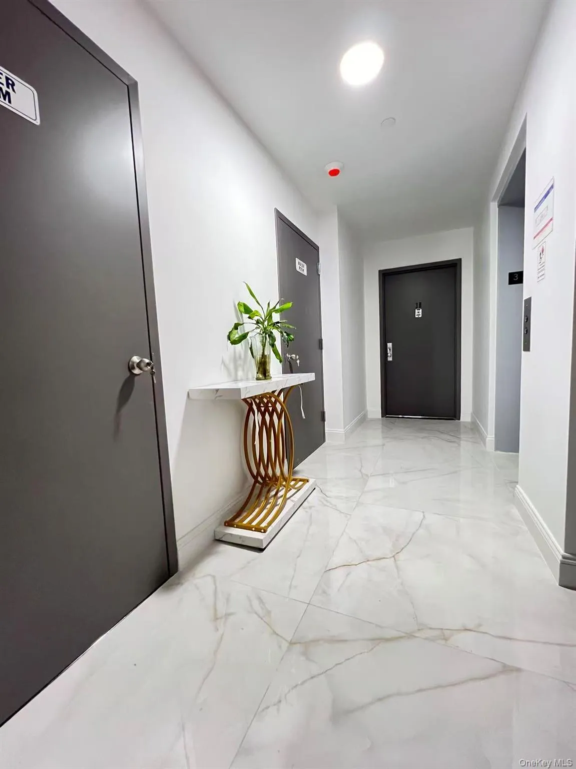 134-28 Blossom Avenue, New York, NY, 2 Bedrooms Bedrooms, 4 Rooms Rooms,2 BathroomsBathrooms,Residential Sale,For Rent,Blossom,0,998142 134-28 Blossom Avenue, New York, NY, 2 Bedrooms Bedrooms, 4 Rooms Rooms,2 BathroomsBathrooms,Residential Sale,For Rent,Blossom,0,998142