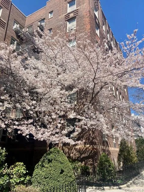 43-10 48 Avenue, New York, NY, 1 Bedroom Bedrooms, 3 Rooms Rooms,1 BathroomBathrooms,Residential,For Rent,48,0,998144 43-10 48 Avenue, New York, NY, 1 Bedroom Bedrooms, 3 Rooms Rooms,1 BathroomBathrooms,Residential,For Rent,48,0,998144