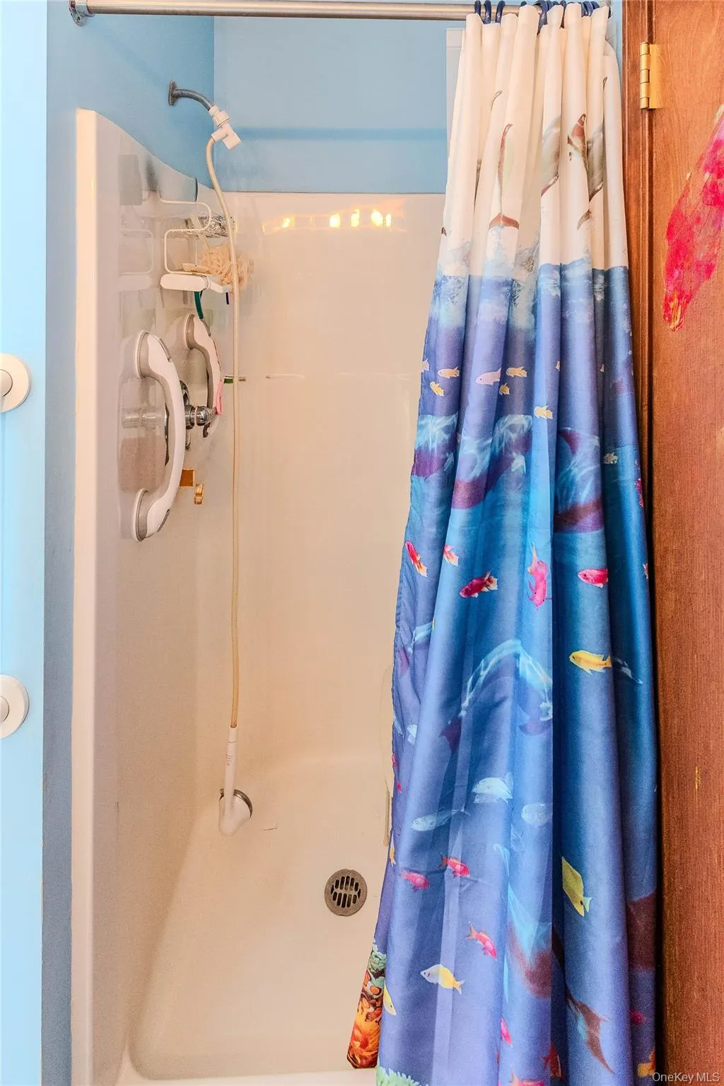 shower shower
