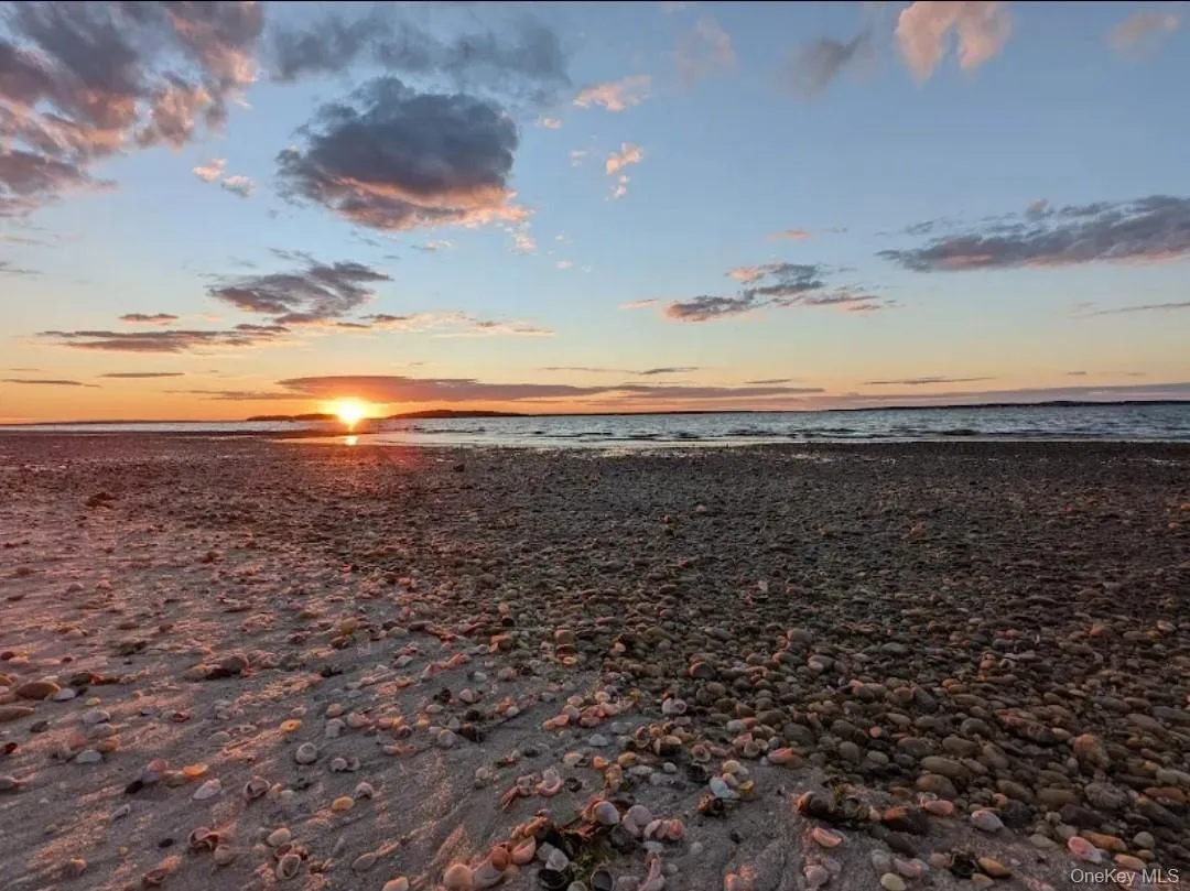 83 Hampton Road, Southampton, NY, 3 Bedrooms Bedrooms, 7 Rooms Rooms,2 BathroomsBathrooms,Residential Sale,For Rent,Hampton,0,998170 83 Hampton Road, Southampton, NY, 3 Bedrooms Bedrooms, 7 Rooms Rooms,2 BathroomsBathrooms,Residential Sale,For Rent,Hampton,0,998170