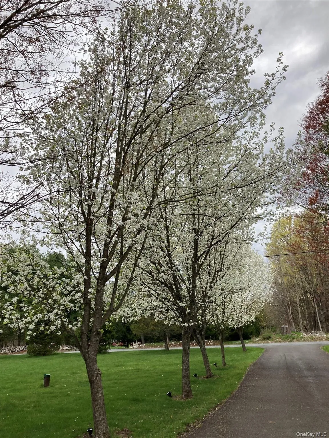 124 Rutsonville Road, Shawangunk, NY, 4 Bedrooms Bedrooms, 9 Rooms Rooms,2 BathroomsBathrooms,Residential,For Rent,Rutsonville,0,998220 124 Rutsonville Road, Shawangunk, NY, 4 Bedrooms Bedrooms, 9 Rooms Rooms,2 BathroomsBathrooms,Residential,For Rent,Rutsonville,0,998220