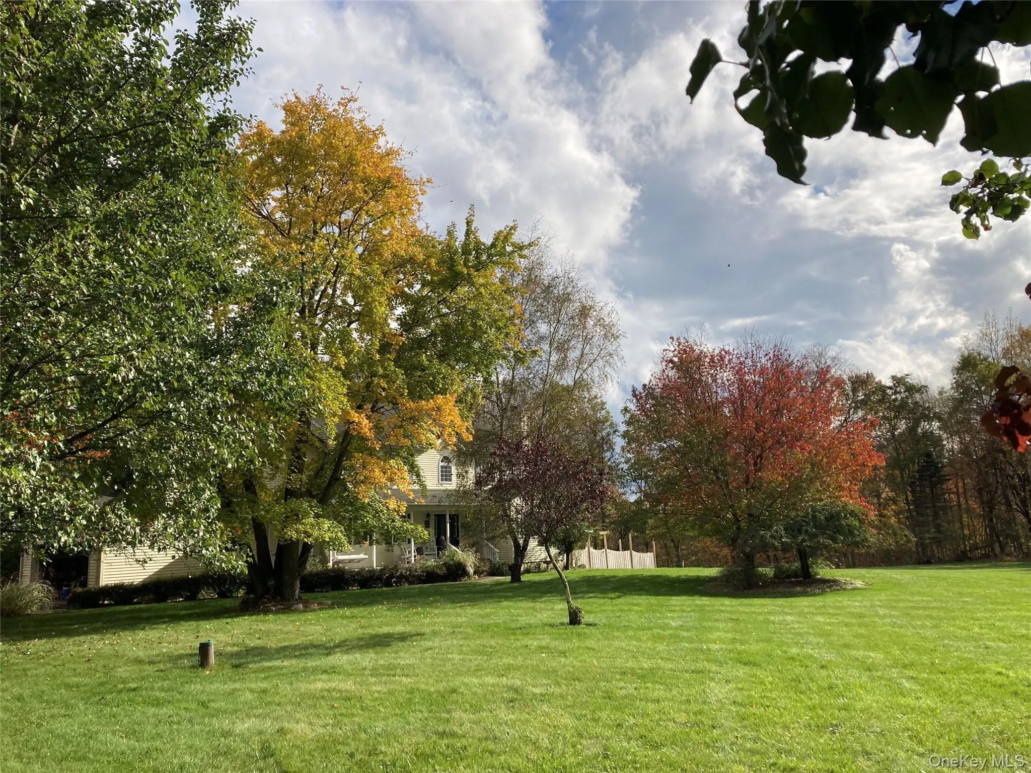Mature Landscaping Mature Landscaping