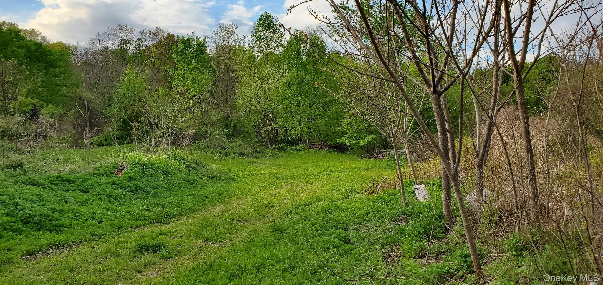207 Cardinal Road, Hyde Park, NY, ,Land,For Rent,Cardinal,0,998238 207 Cardinal Road, Hyde Park, NY, ,Land,For Rent,Cardinal,0,998238