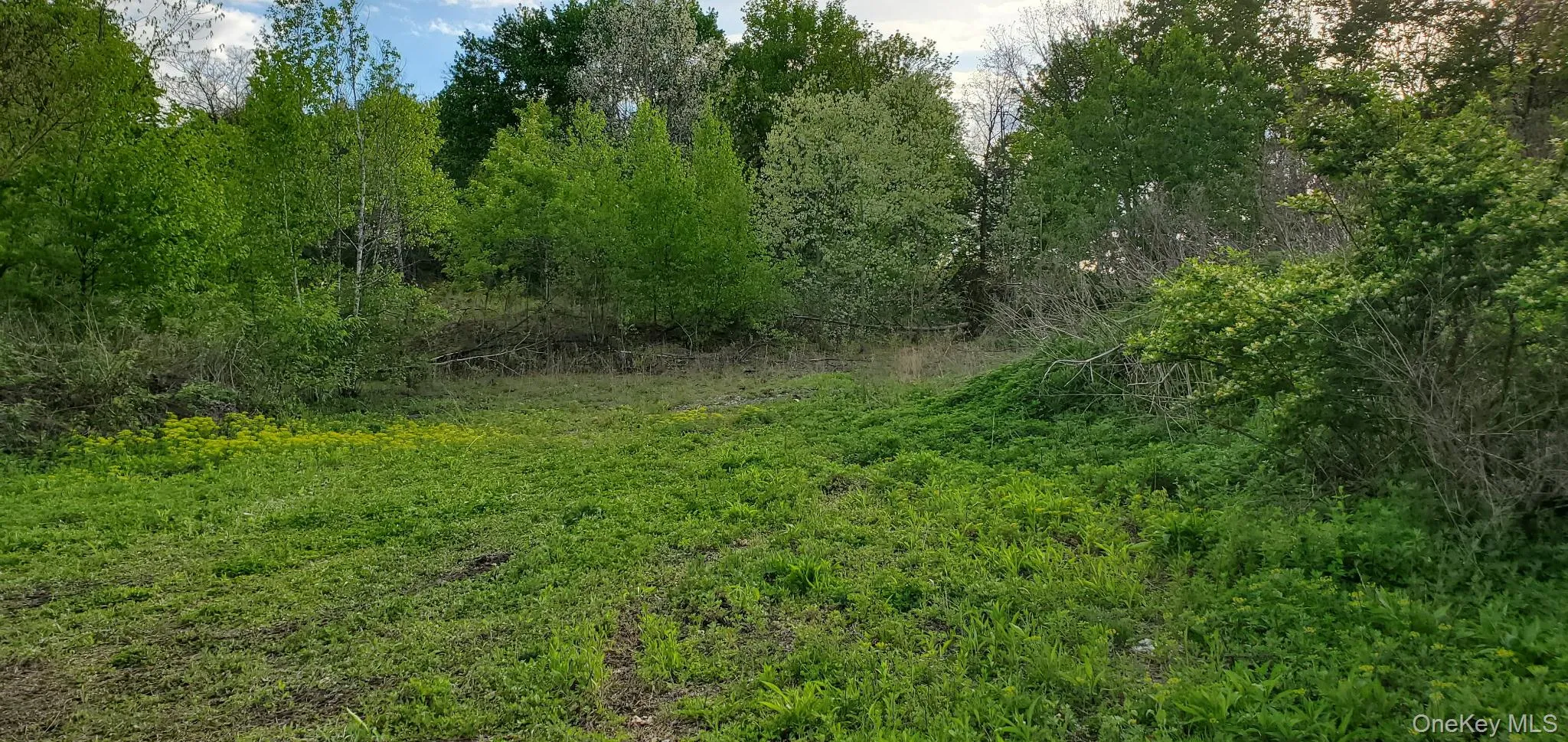 207 Cardinal Road, Hyde Park, NY, ,Land,For Rent,Cardinal,0,998238 207 Cardinal Road, Hyde Park, NY, ,Land,For Rent,Cardinal,0,998238